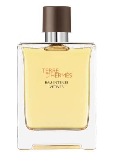 Hermes Terre d'Hermès Eau Intense Vétiver Perfume