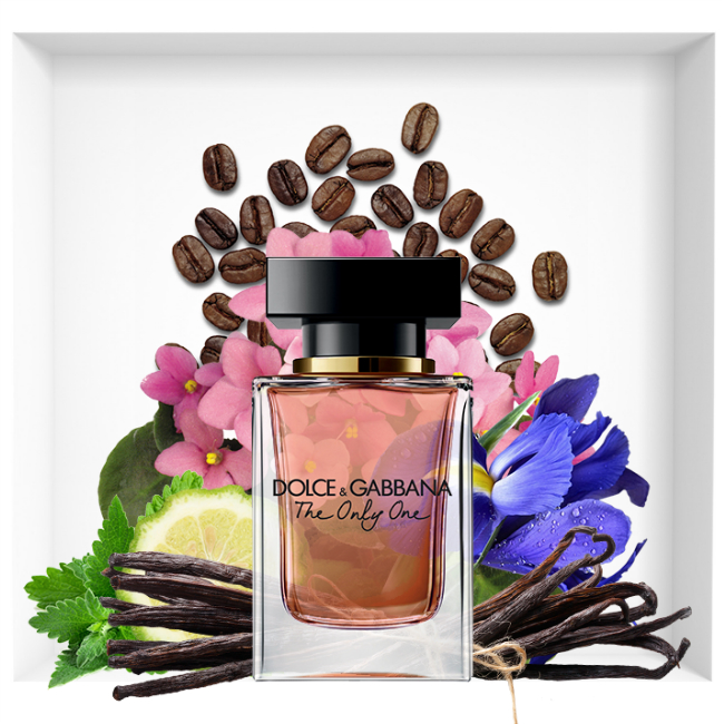 Dolce And Gabbana The Only One Perfume Review Price Coupon Perfumediary