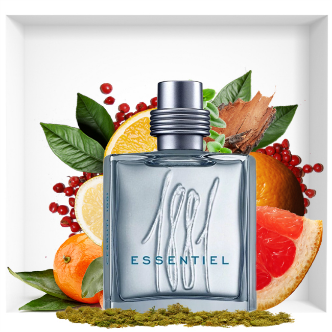 Nino Cerruti 1881 Essentiel Review Price Coupon PerfumeDiary