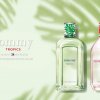 Tommy Hilfiger Tommy Tropics and Tommy Girl Tropics