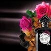 Guerlain Black Perfecto by La Petite Robe Noire 2018 Perfume