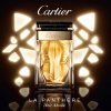 Cartier La Panthère Noir Absolu