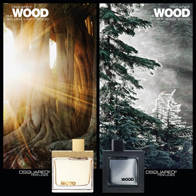DSquared2 He Wood Cologne fragrance