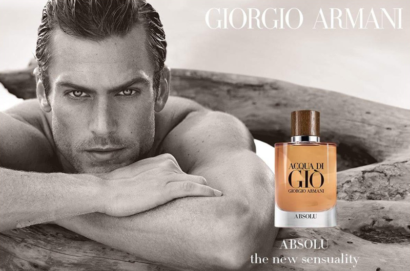 giorgio armani acqua di absolu