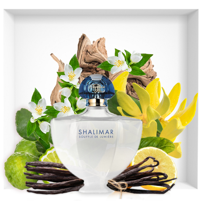 shalimar souffle de parfum composition