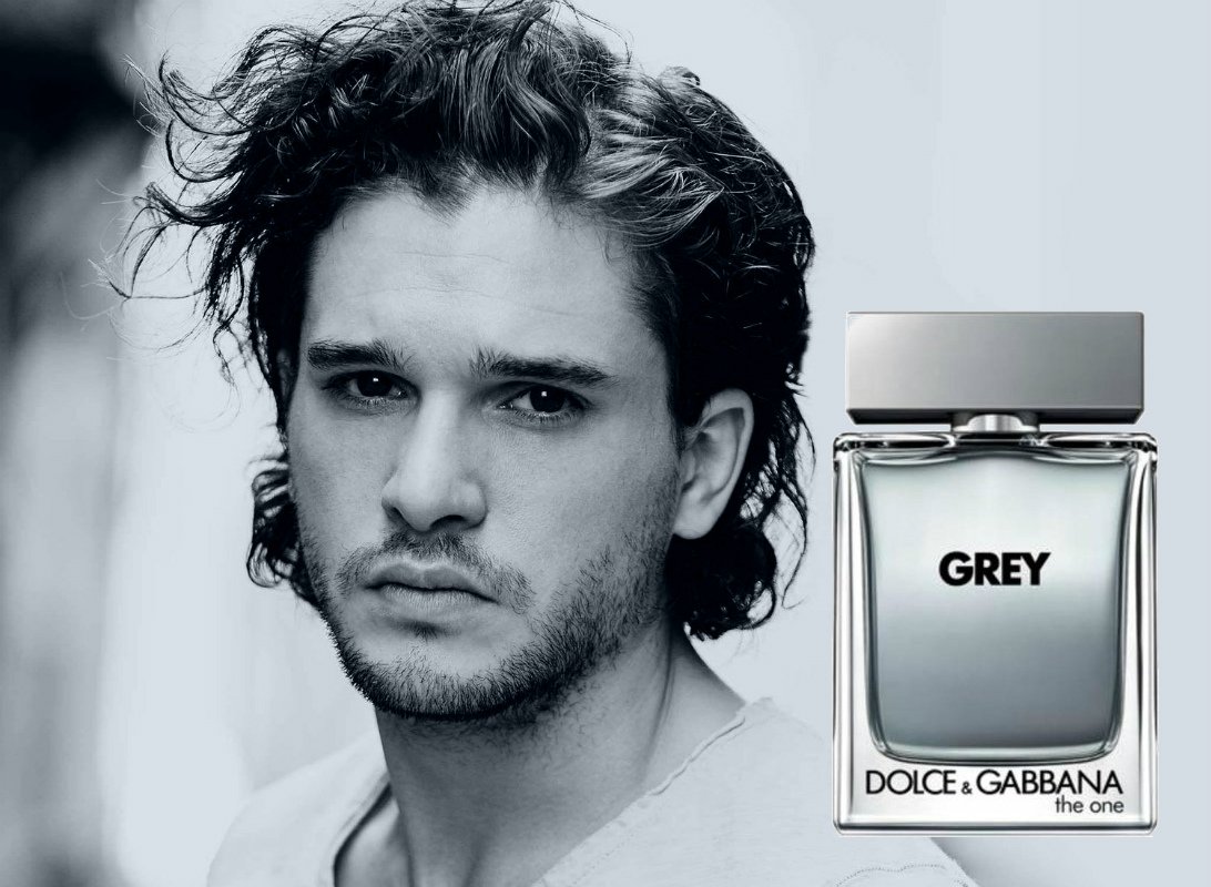 dolce and gabbana grey the one